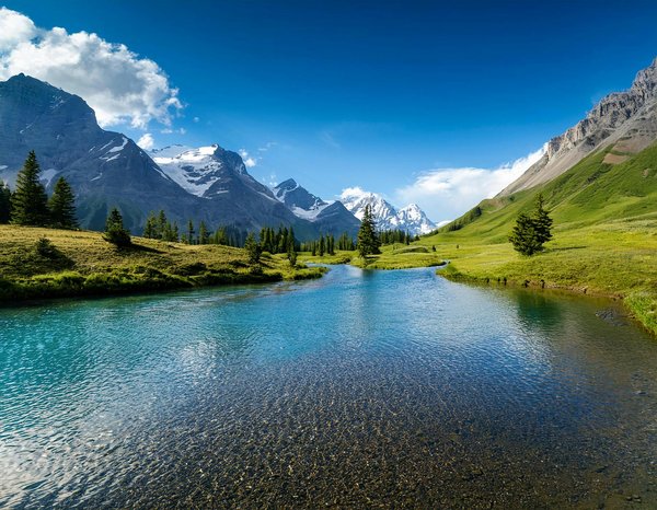 L'effet Jon Jones sur l'UFC